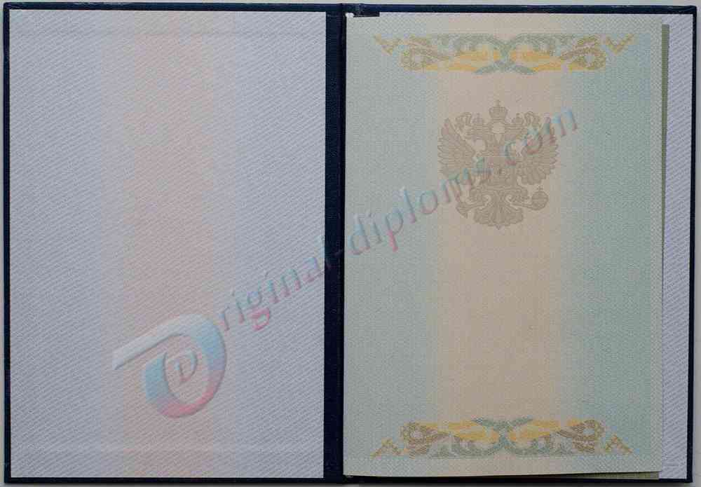 Диплом магистра 2004-2009